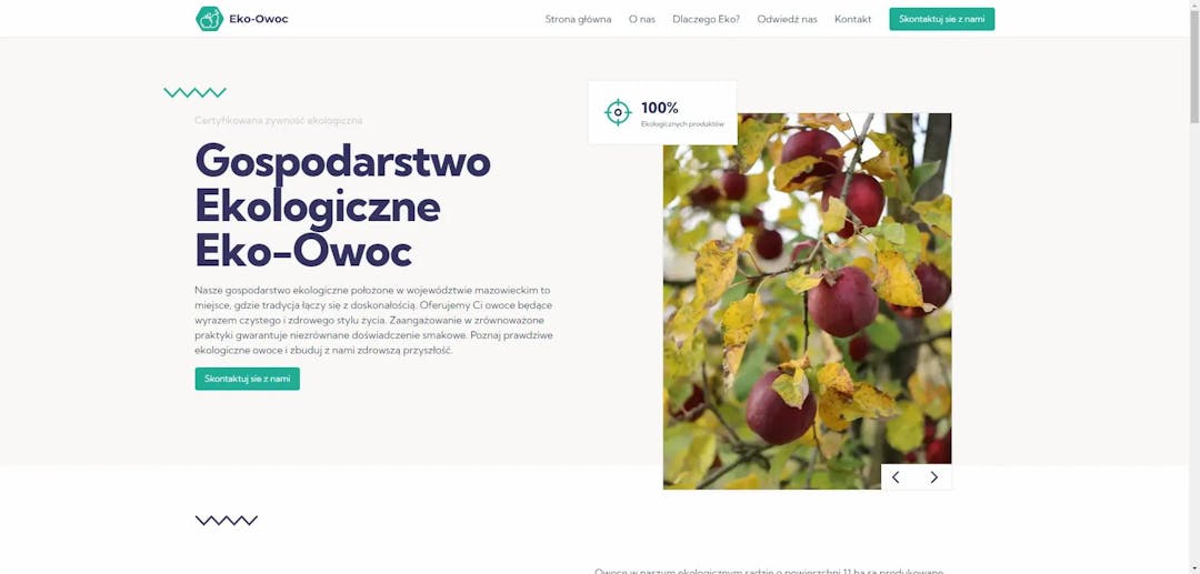 Eko-Owoc Website